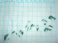 вредина - 01.jpg