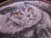 Изображение 762.jpg