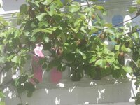 Изображение 33221.jpg