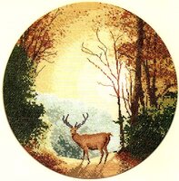 JCAL268_Autumn Light.jpg