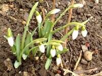 2015-03-02 14-57-53.jpg