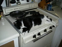 тёплое место.jpg