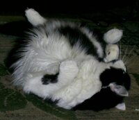 Изображение 045.jpg