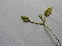 2017-06-01 14-27-10.jpg