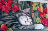 Марина финиш 27.06.15.jpg