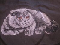 Изображение 764.jpg