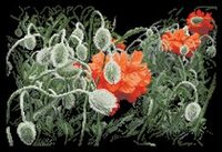 гимн любви.jpg