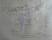 MTSA_Evanescent Glycine.jpg