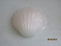 Изображение 32719.jpg