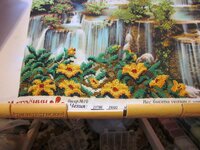 Изображение 2011.jpg