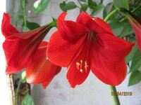 Изображение 015.jpg