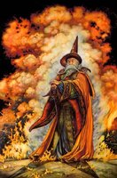 fire wizard.JPG