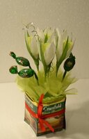 миник - подснежник.jpg