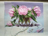 Пионы 8 ноября.JPG