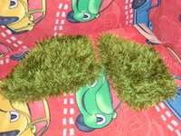 CIMG1084 (1024x768).jpg