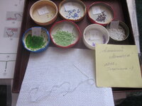 Изображение 32855.jpg