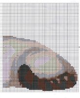 Сиамская кошка (2).jpg