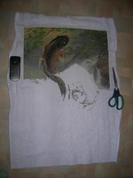 карп март (2,5 мес работы).jpg