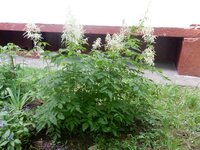 2016-06-14 13-32-02.jpg