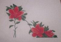 Изображение 32909.jpg