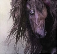 Laura Prindle - Equus.jpg