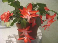 Изображение 008.jpg