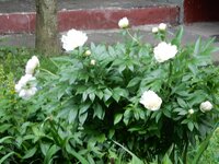 2016-06-14 13-32-58.jpg