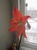 Изображение 32783.jpg