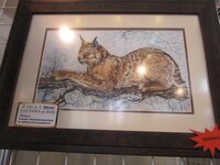 Изображение 992.jpg