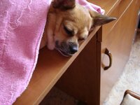 Фото с камеры 122.jpg