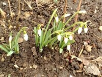 2015-03-02 14-57-46.jpg