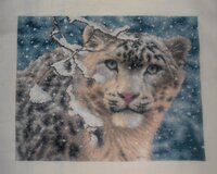 Mariska февраль 2015.jpg