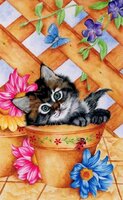 Trellis Kitty.JPG