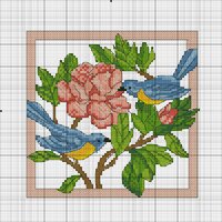 авантюрка бэк.jpg