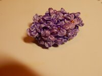 2016-01-30 19-36-54.jpg