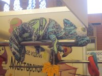 Изображение 169.jpg