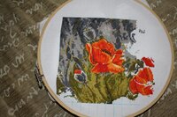 guyana маки 18.12.2011-01.jpg