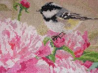 Изображение 287892.jpg