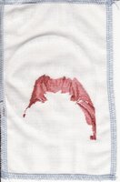 IMG_0003 [1024x768].jpg