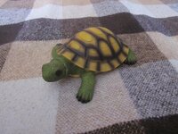 Изображение 31813.jpg