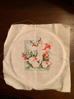 Фото 16.11.16, 18 17 52.jpg