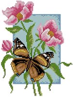 Яркий кардинал.jpg