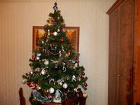 2016-01-02 12-14-10.jpg