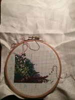 Фото 11.01.17, 22 11 40.jpg