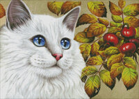 Rose Hips  GARMASHOVA79421.jpg