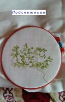 0 подснежники.jpg