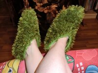 CIMG1079 (1024x768).jpg