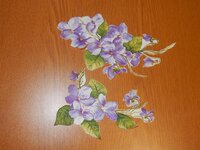 2016-06-05 10-50-10.jpg