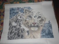 17.01.2015 разв..jpg