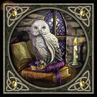 HAELIP 1900 new owl.jpg